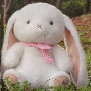 토끼 토이돌스 스프링프렌즈 토끼 인형 27cm | 브랜드 중고거래